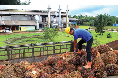 recent-project-img-1